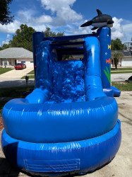 Blue20Slide20Front 1677609813 Dolphin Combo